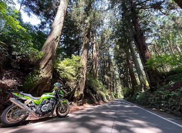 japan/nikko/attraction/nichiryoku-reibushi-jidou