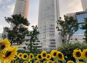 japan/nagoya/nagoya-station-area/attraction/sky-garden-5f-dai-nagoya-building
