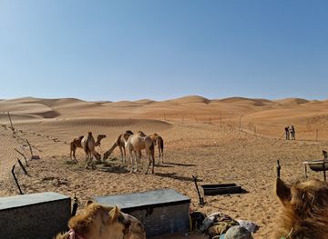 oman/ash-sharqiyah-north-governorate/attraction/bedouin-house-um-said