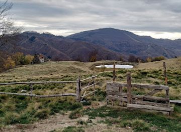 romania/maramures/attraction/poiana-boului-gutai