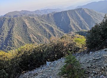 cyprus/cedar-valley/attraction/paphos-forest