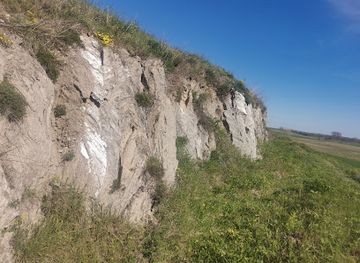 poland/wiślica/attraction/rezerwat-przyrody-przeslin