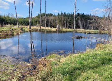 czechia/vysocina/attraction/western-town-stonetown