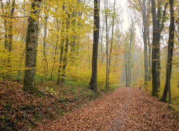 croatia/podravina/attraction/rimska-park-suma