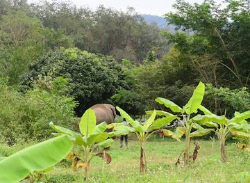 thailand/pai/attraction/conserve-natural-forest