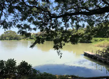 Tana view