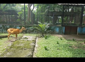 nigeria/south-south/attraction/port-harcourt-zoo