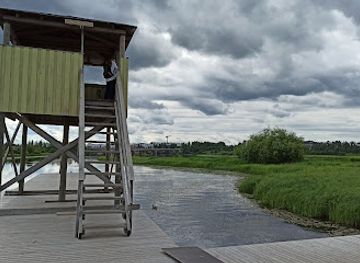 finland/rovaniemi/attraction/bird-watching-tower-koivusaari-rovaniemi
