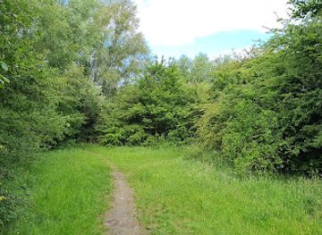 belgium/kortrijk/attraction/kabouterbos