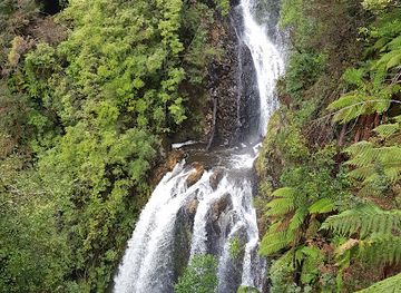 australia/tasmanian-wilderness/attraction/philosopher-falls