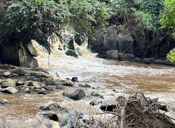 uganda/mbarara/attraction/river-rwizi