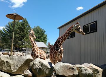 wisconsin/northwoods/attraction/wildwood-wildlife-park-zoo-safari