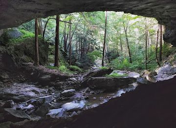 west-virginia/spruce-knob/attraction/seneca-caverns