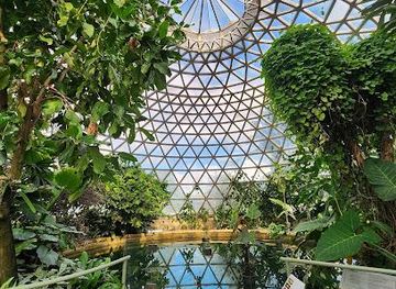 australia/brisbane/attraction/mount-coot-tha-botanic-gardens