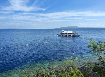 philippines/bohol/attraction/napaling-reef