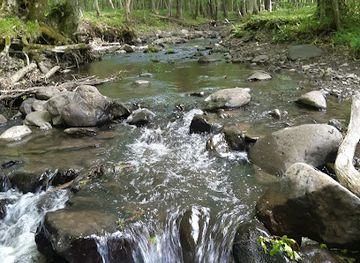 slovakia/zemplinska-sirava/attraction/jovsiansky-termalny-pramen
