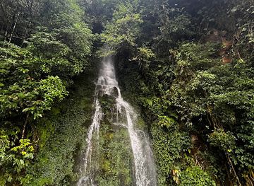 india/darjeeling/ghoom-monastery/attraction/hima-falls