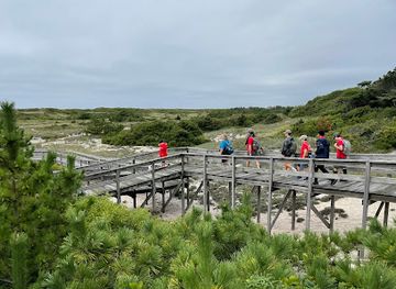 new-york/fire-island/attraction/sunken-forest