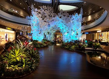 singapore/changi/attraction/orchid-garden-koi-pond