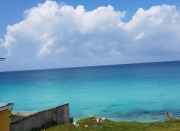 the-bahamas/bimini/attraction/north-bimini