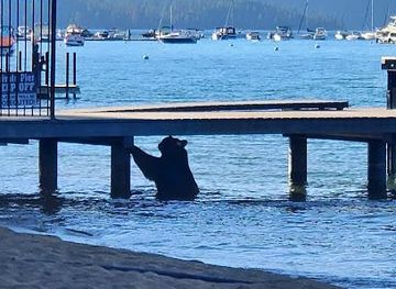 california/tahoe-city/attraction/pope-beach