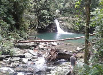 trinidad-and-tobago/couva-tabaquite-talparo/attraction/nature-seekers