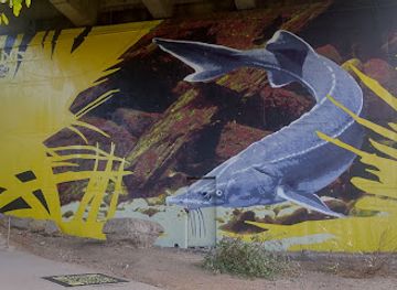 romania/dobrogea-plateau/attraction/mural-by-taci41