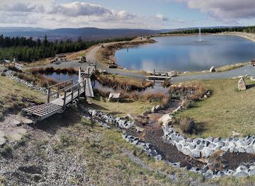 germany/harz-national-park/attraction/aussichtsturm-wurmberg