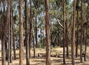 peru/cusco/attraction/q-enqo-chico