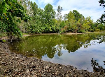 indiana/the-lakes-region/attraction/skiles-test-nature-park