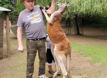 washington/northern-cascades/attraction/the-outback-kangaroo-farm