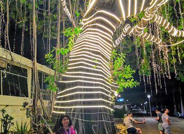 mexico/costa-chica/attraction/manzanillo-beach