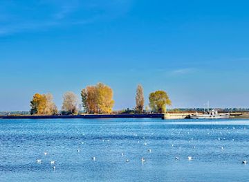 ukraine/kyiv-reservoir/attraction/a-stone-seagull-monument