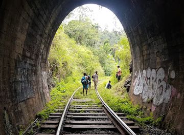 sri-lanka/ella/attraction/gotuwala-ella
