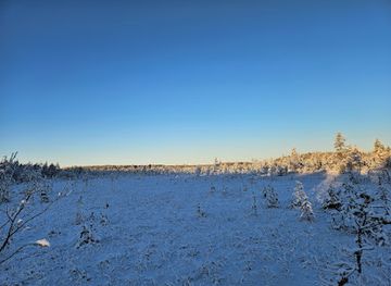 finland/north-ostrobothnia/attraction/martimoaapa