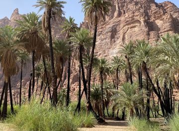 saudi-arabia/tabuk/attraction/tabuk-attraction-mud-house