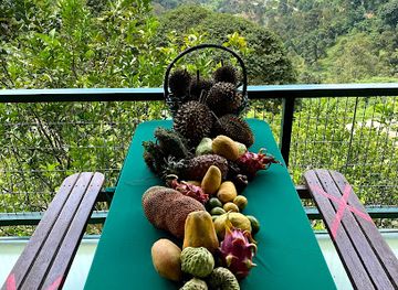 malaysia/penang-island/attraction/tropical-fruit-farm