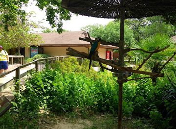 texas/tyler/attraction/northside-park