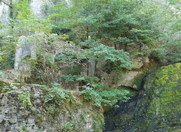 france/franche-comte/attraction/chene-remarquable