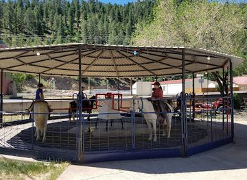 new-mexico/ruidoso/attraction/the-pony-ring