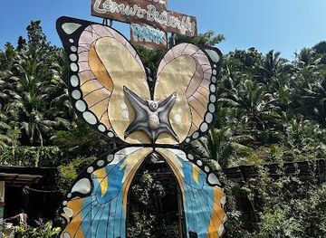 philippines/bohol/attraction/bohol-lemur-and-butterfly