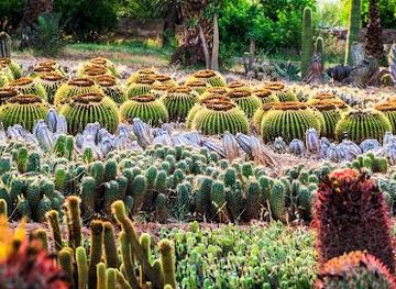 morocco/marrakech/attraction/cactus-thiemann