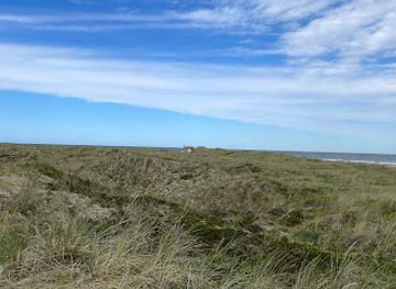 denmark/laso/attraction/bloden-hale-og-danzigmand