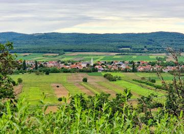 austria/neusiedler-see/attraction/skywalk