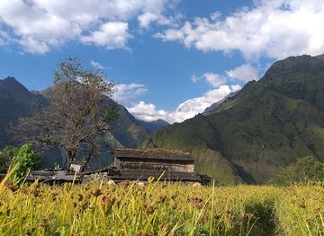 nepal/poon-hill/attraction/narchyang-waterfalls