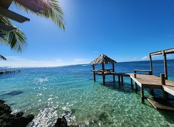 honduras/bay-islands/attraction/roatan-honduras