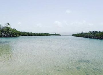 puerto-rico/ponce/attraction/jobos-bay-national-estuarine-research-reserve