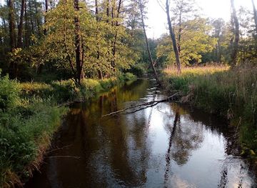 poland/lublin-upland/attraction/mokradla