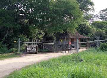 kenya/chyulu-hills/attraction/umani-springs