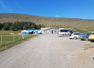 iceland/borgarnes/attraction/haafell-goat-farm